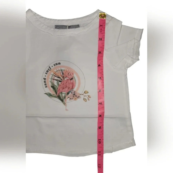 NWT Grey Vintage Flamingo Graphic Tee Size  6 Months - Picture 3 of 6